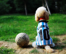 雷霆游科技的破局之道与创新探索